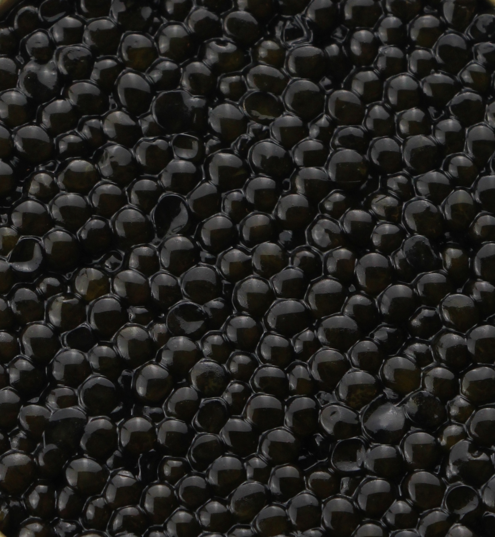 Caviar Baeri