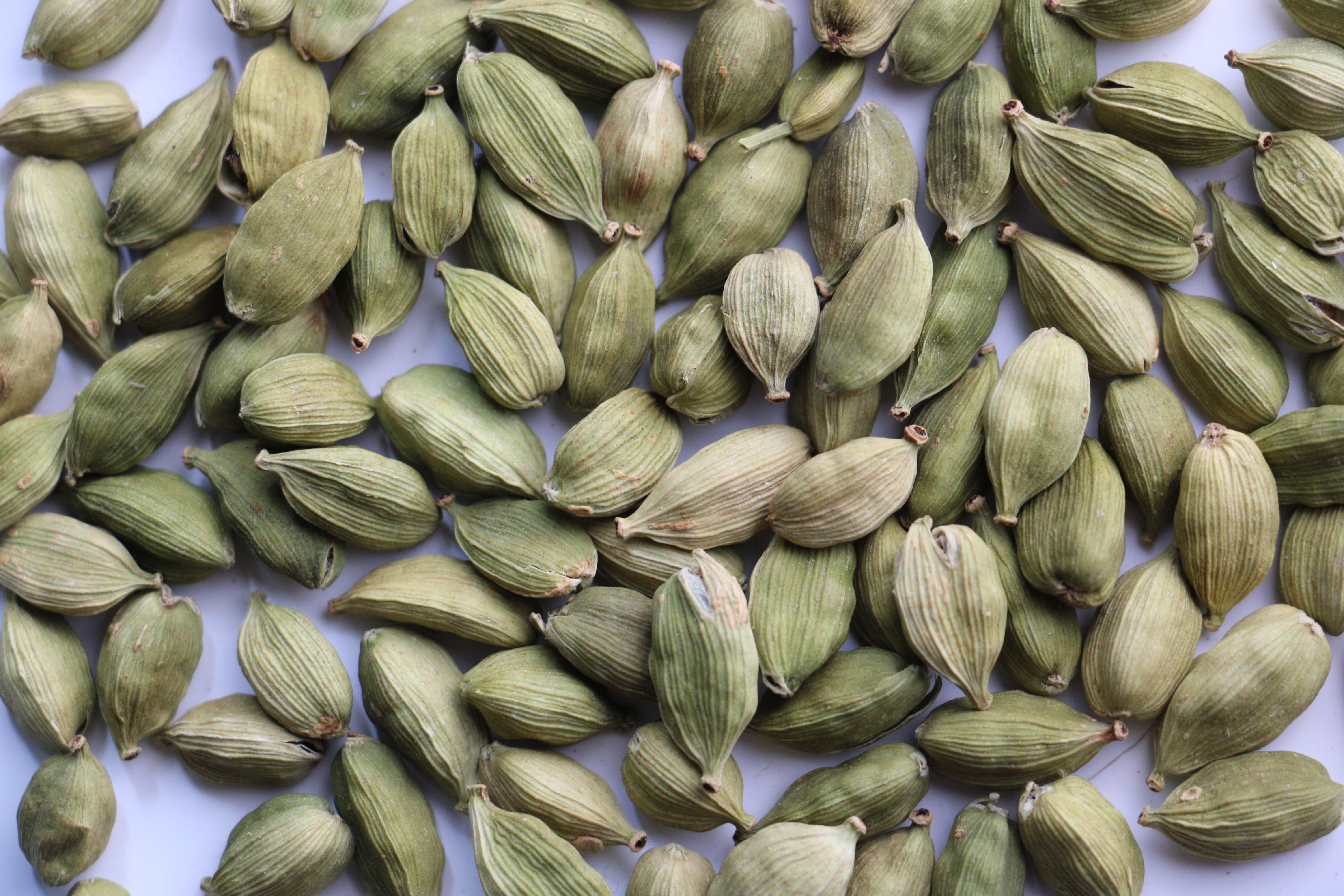 Cardamome verte