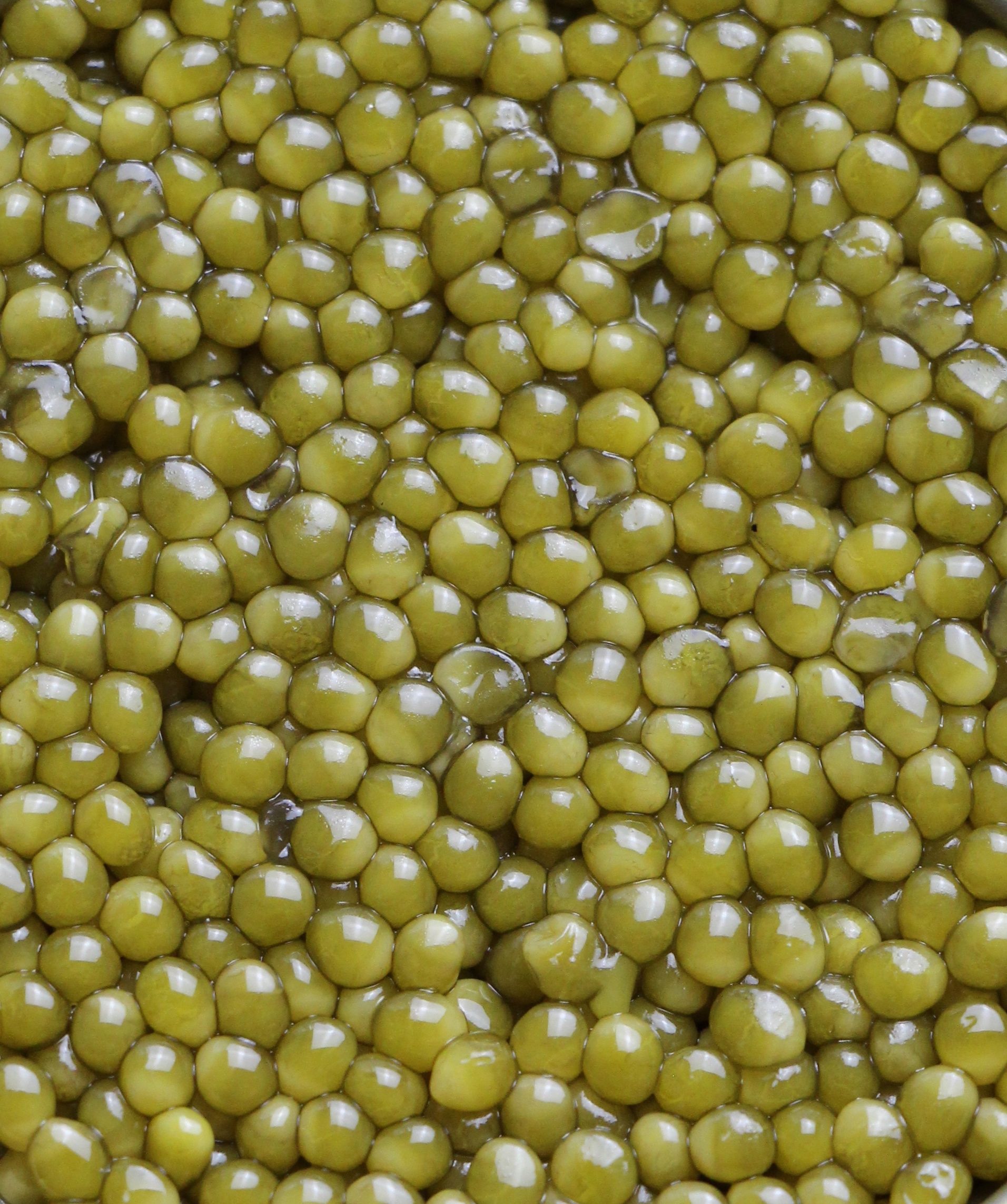 Caviar Chah