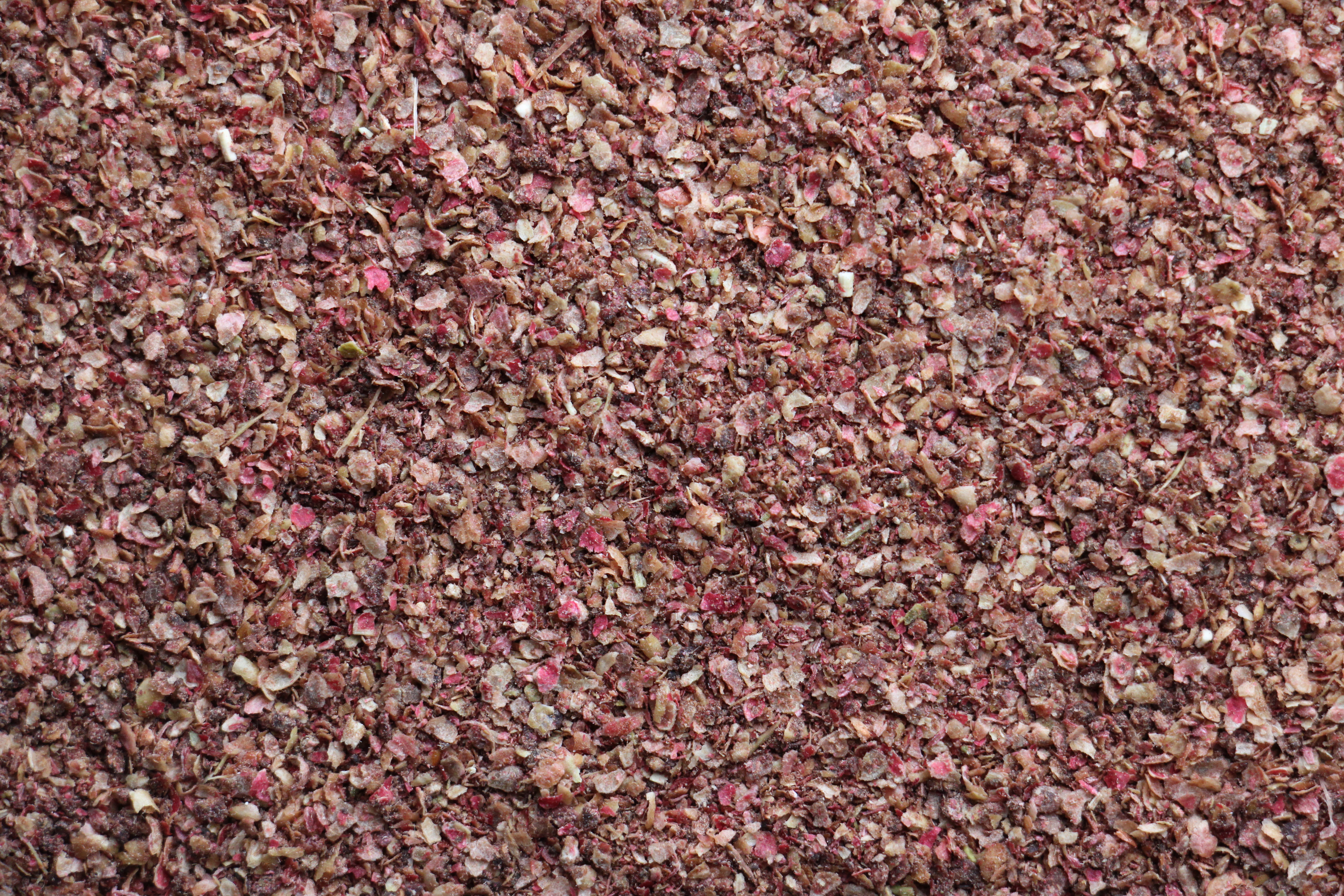 Sumac sauvage en poudre