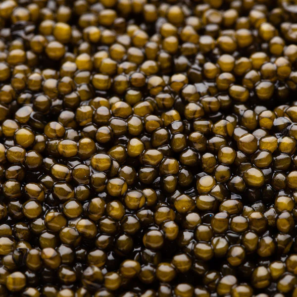 Caviar Osciètre