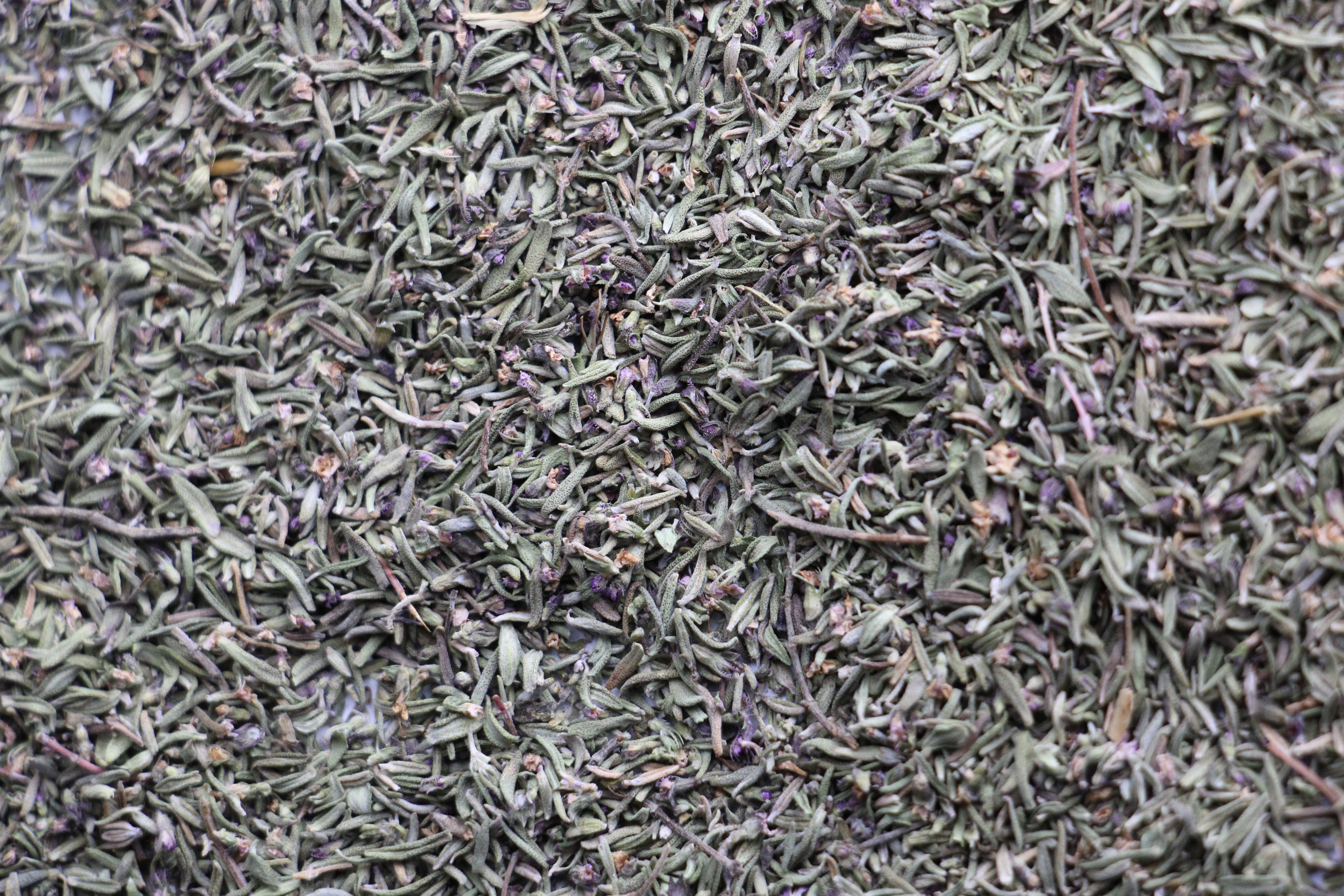 Thym sauvage