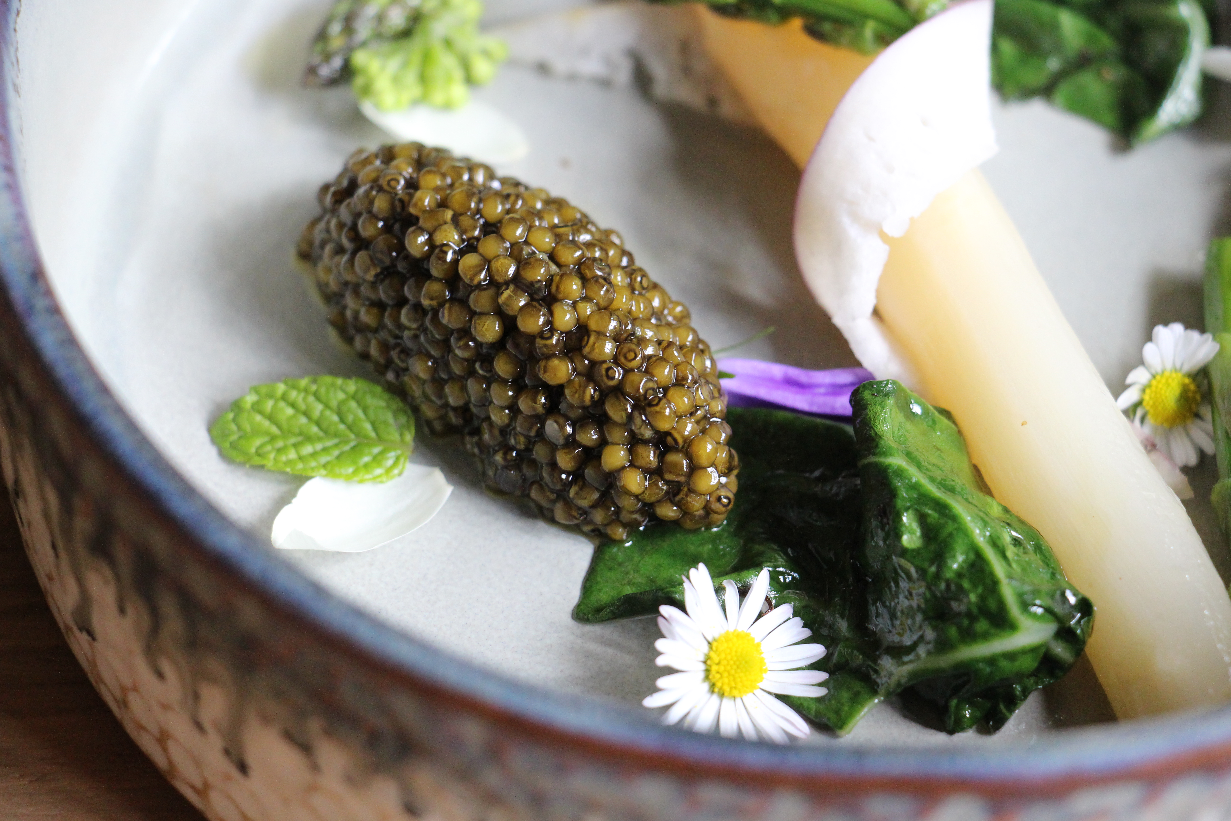 Caviar Chah