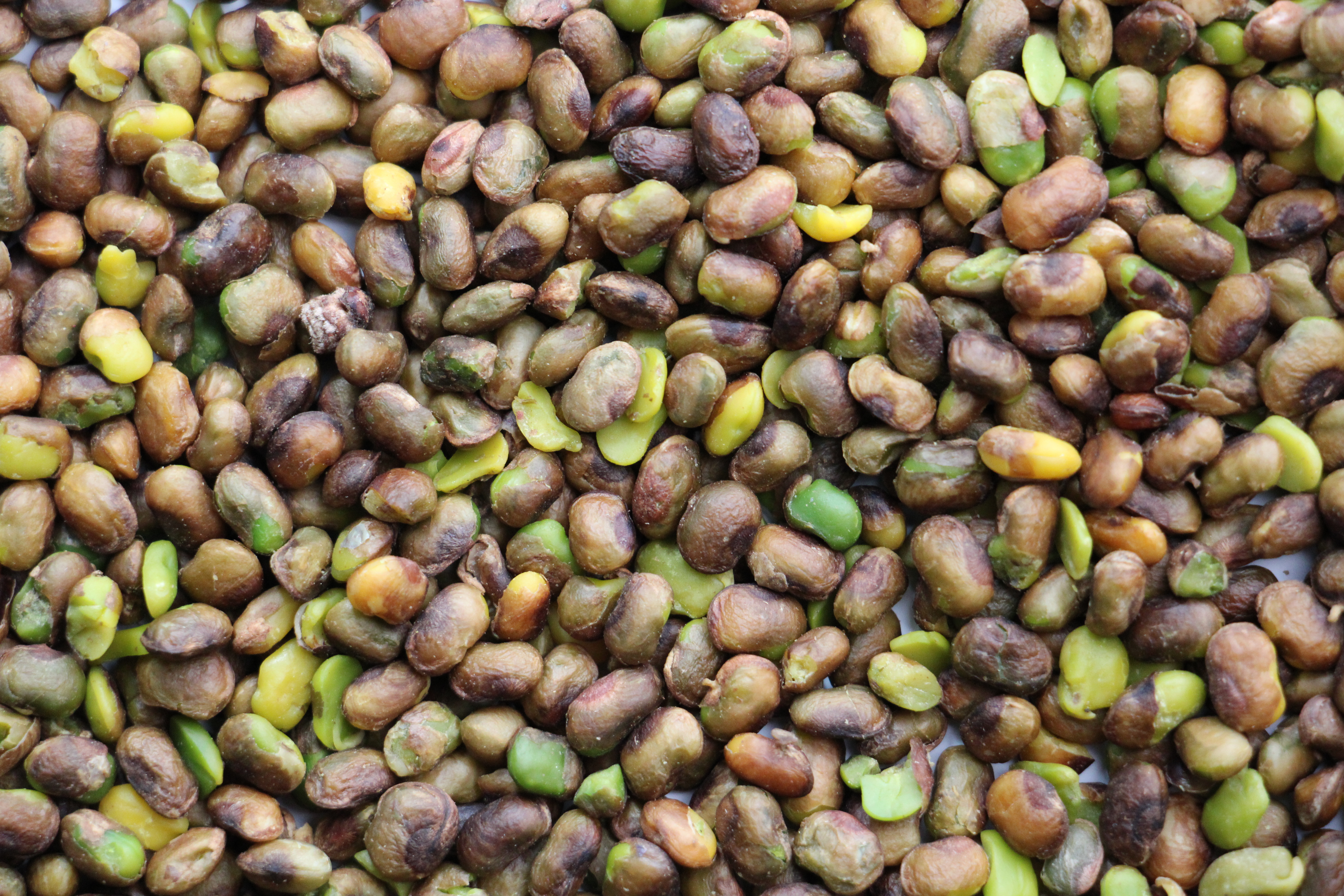 Pistaches Sauvages