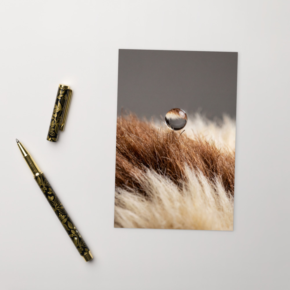 Gremlins Mogwai Fur Macro, Movie Postcard