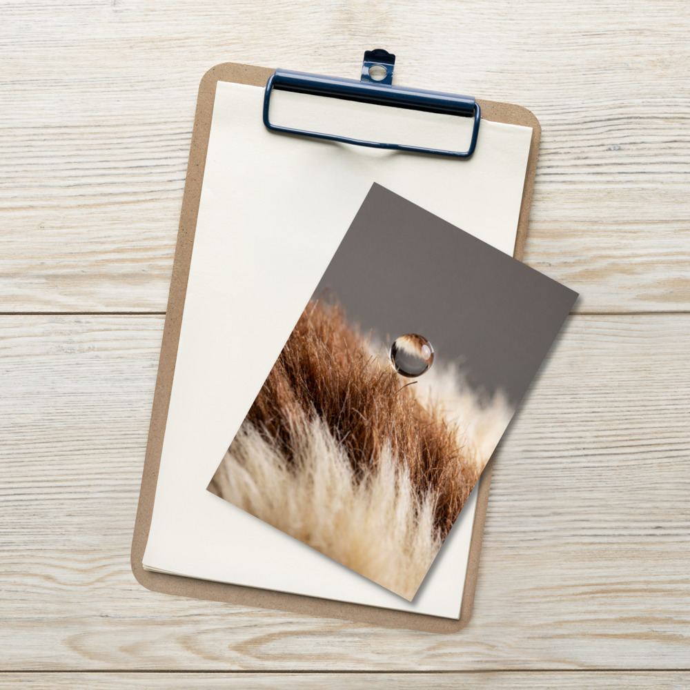 Gremlins Mogwai Fur Macro, Movie Postcard