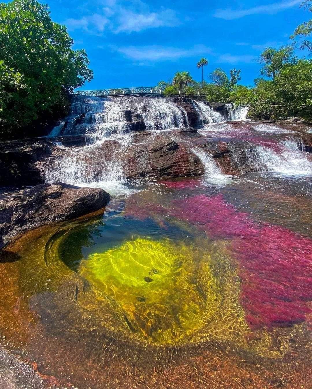 Caño Cristales