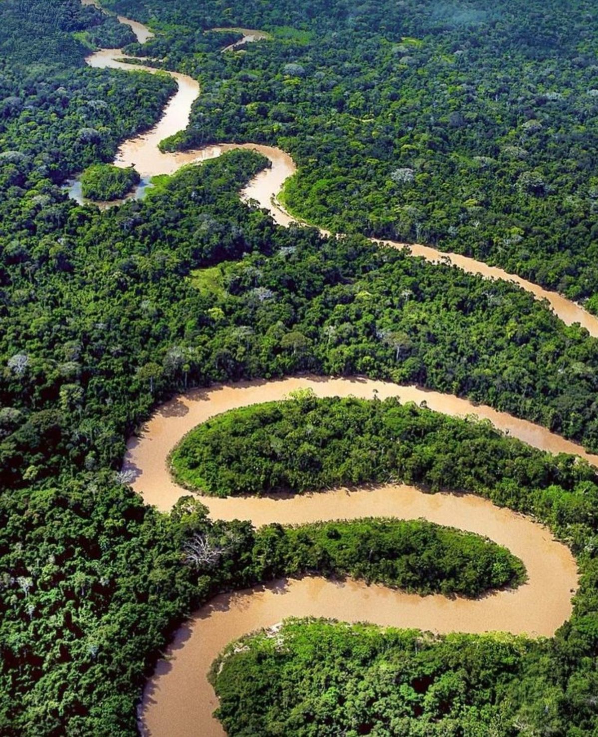 Amazonas