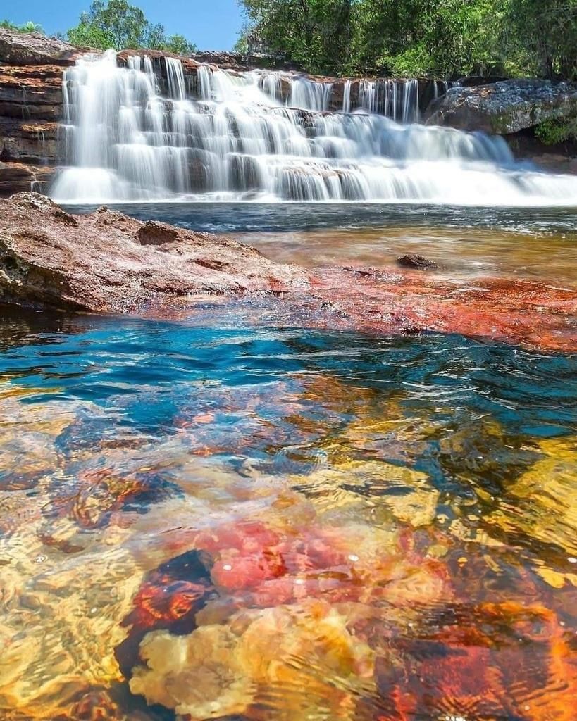 Caño Cristales