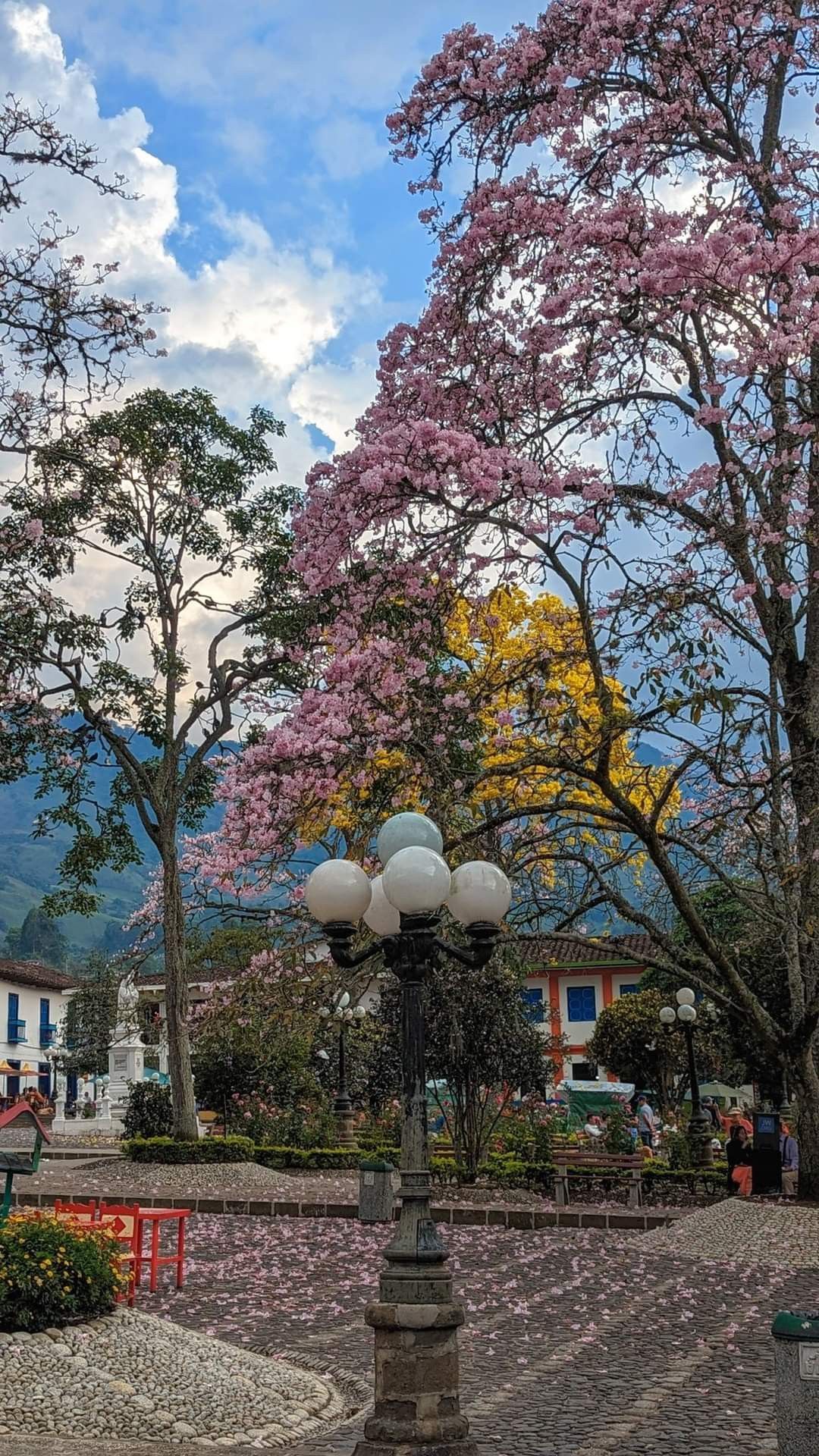 Tour a Jardín, Antioquia