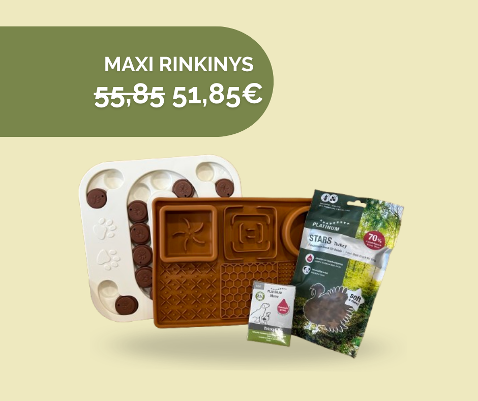 Loginių žaidimų rinkinys (MAXI)