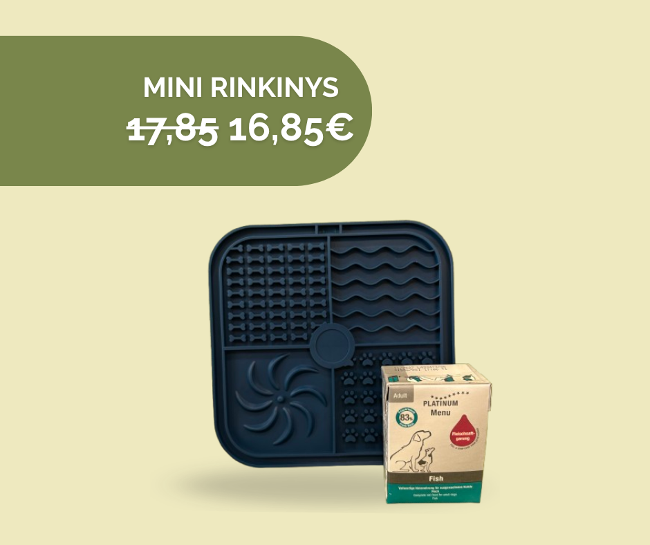 Loginių žaidimų rinkinys (MINI)