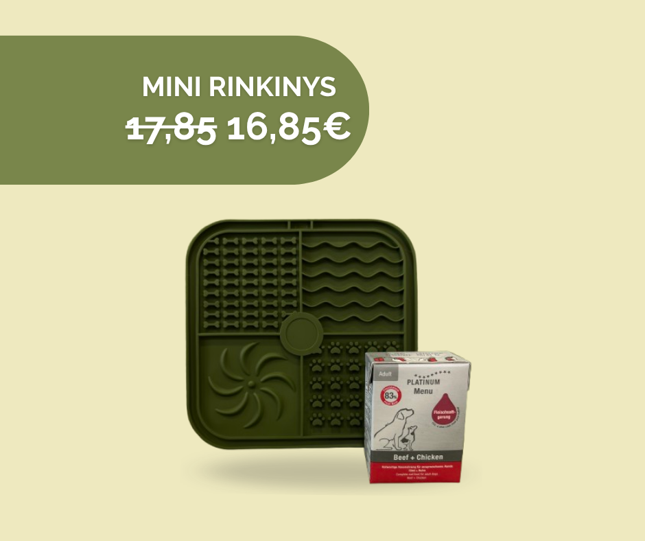 Loginių žaidimų rinkinys (MINI)