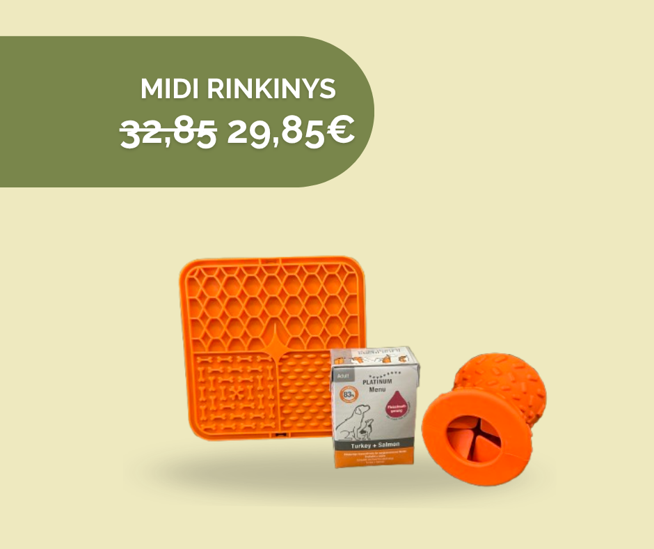 Loginių žaidimų rinkinys (MIDI)