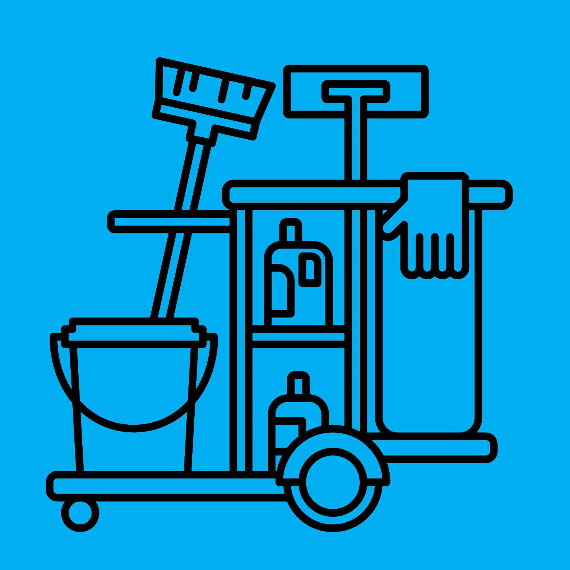 Housekeeping Attendant