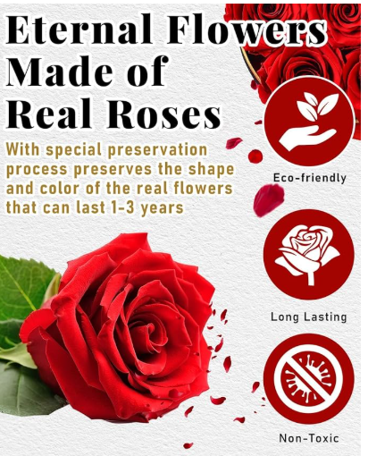 Forever Flowers Preserved Roses in a Box - 7 Preserved Flowers in a Box Last 2-3 Years