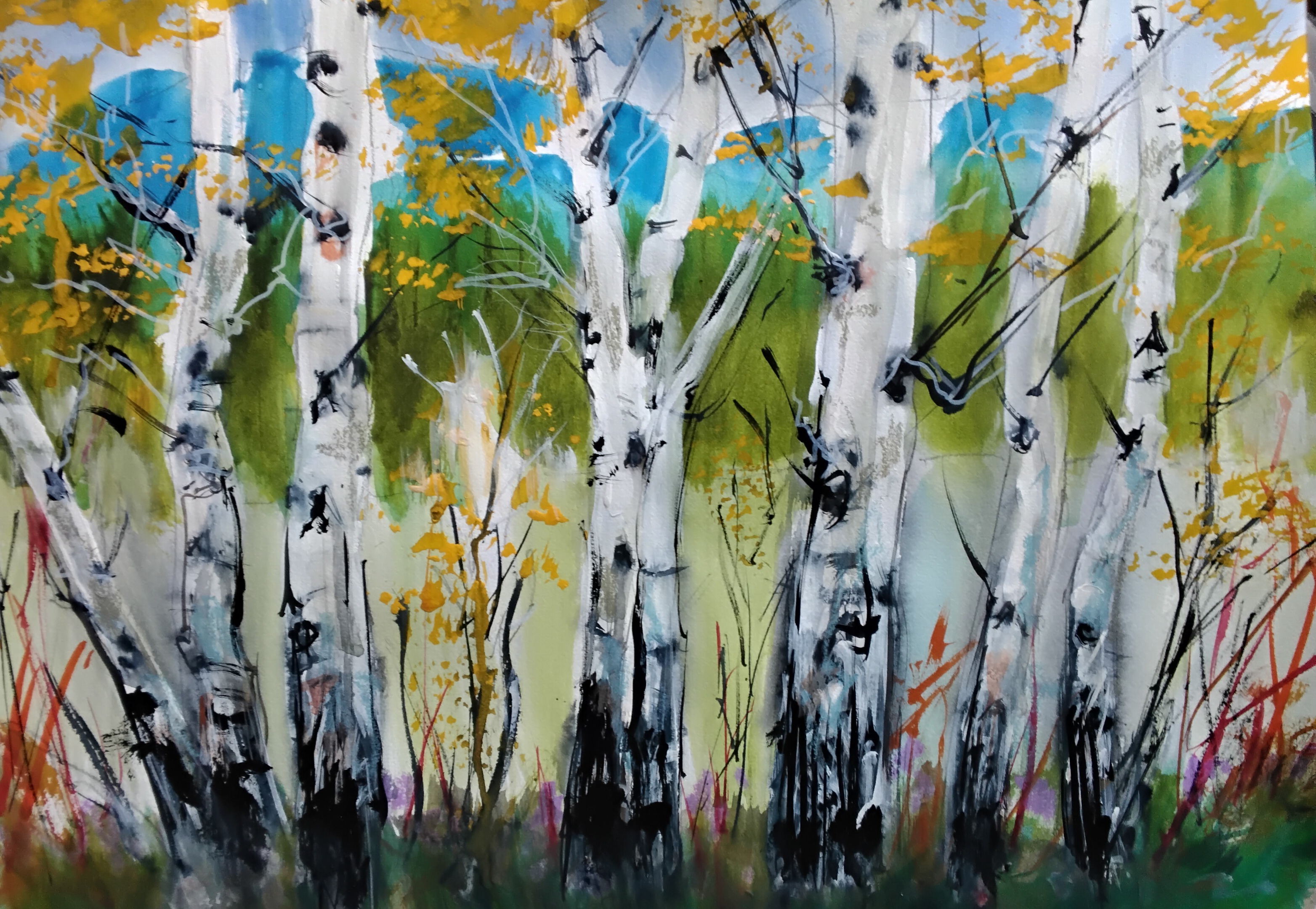 Birch Forest
