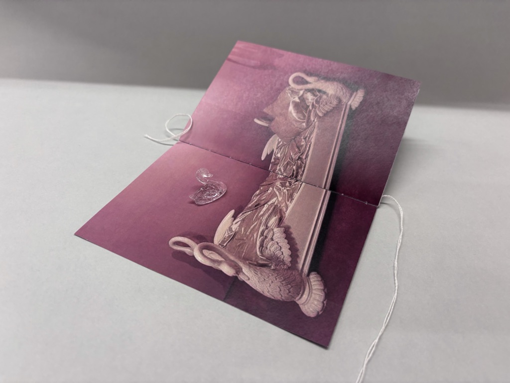 SWAN SET ~ Zine + Stud