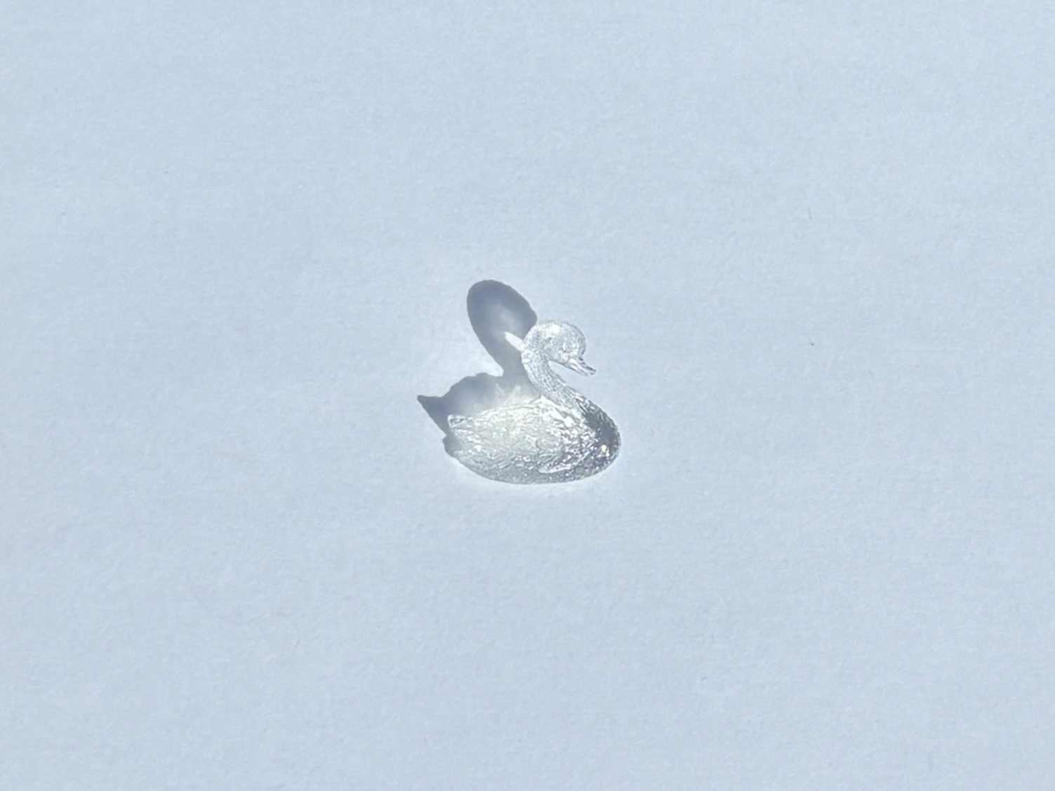 SWAN SET  ~ Zine + Stud