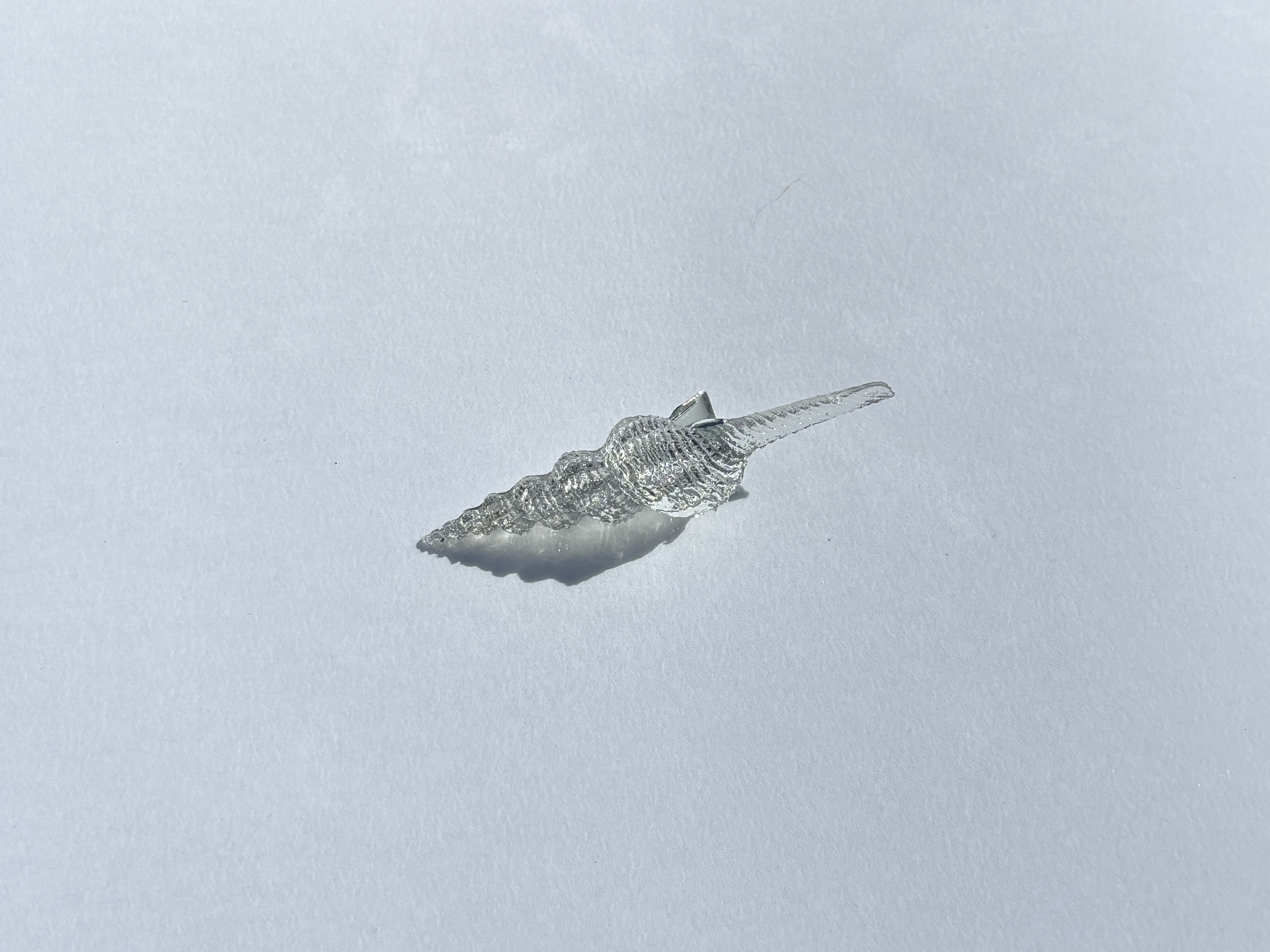 SPIRE SHELL HAIR CLIP