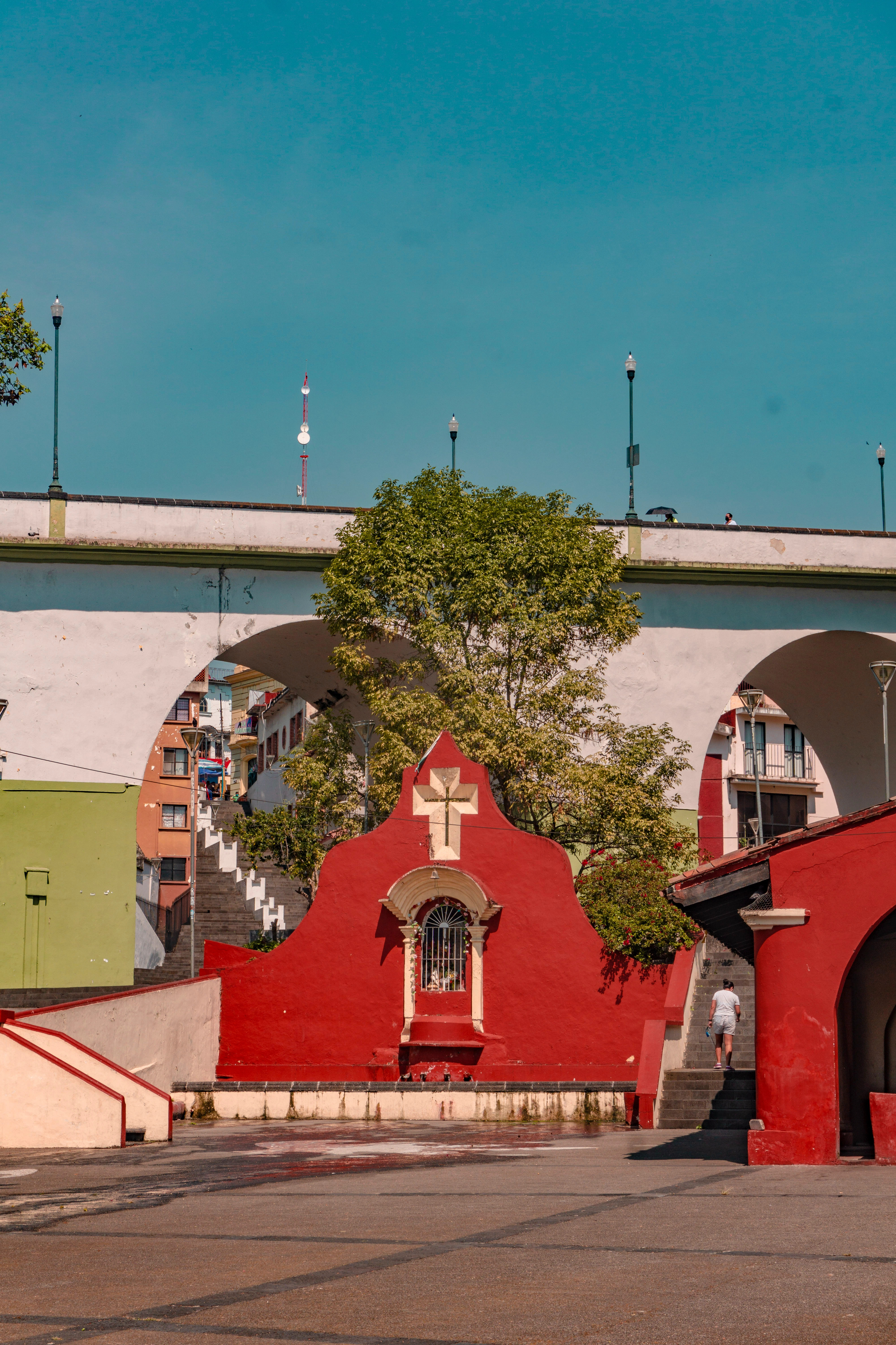 Crónicas del Bosque de Niebla
