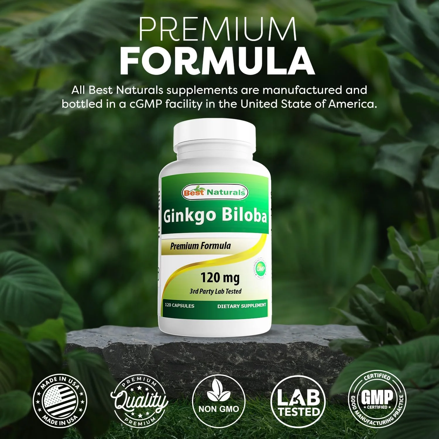 Ginkgo Biloba 120 mg