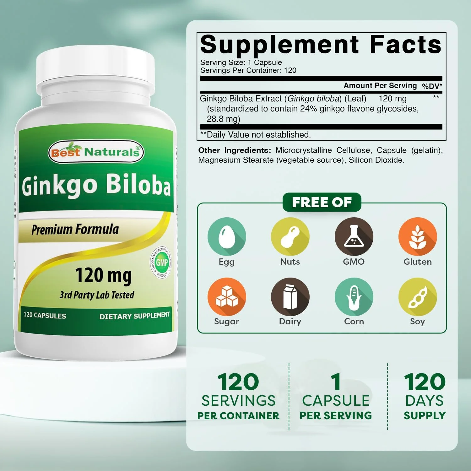 Ginkgo Biloba 120 mg