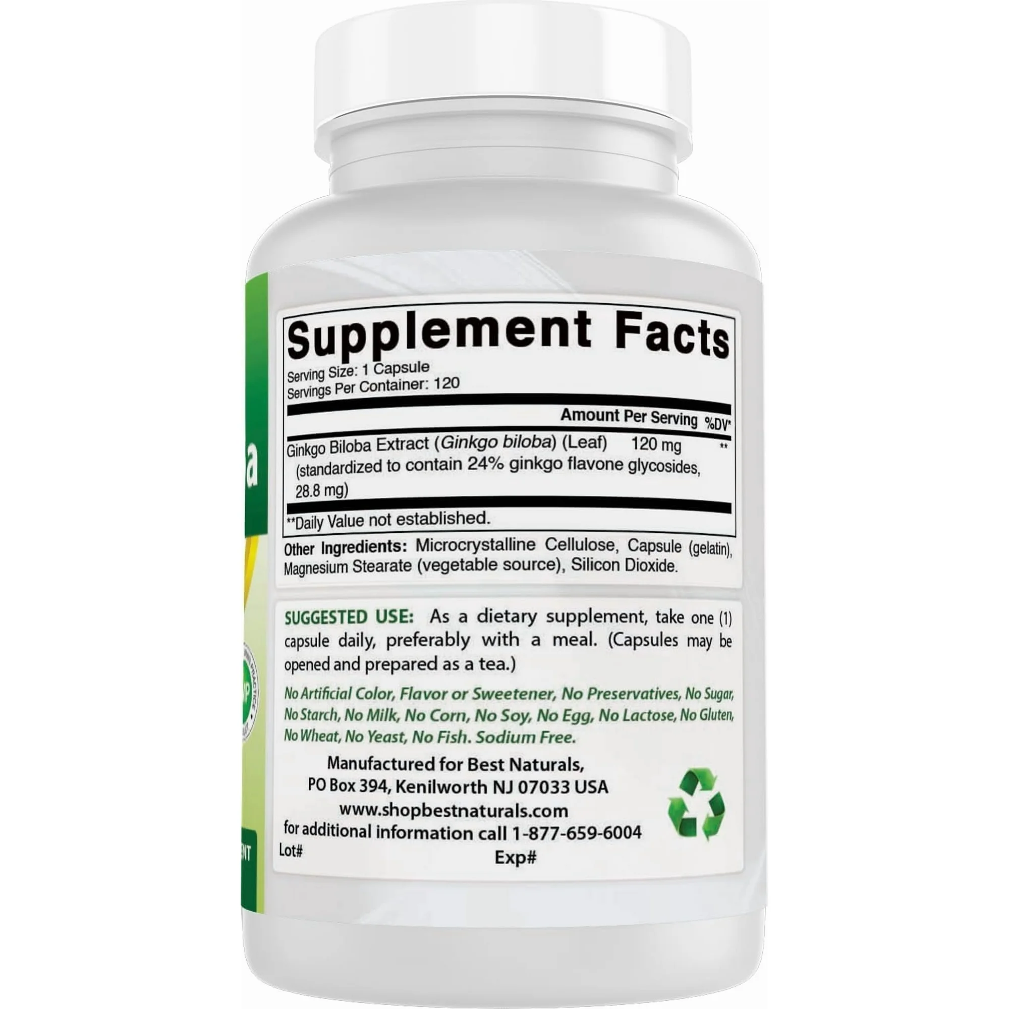 Ginkgo Biloba 120 mg