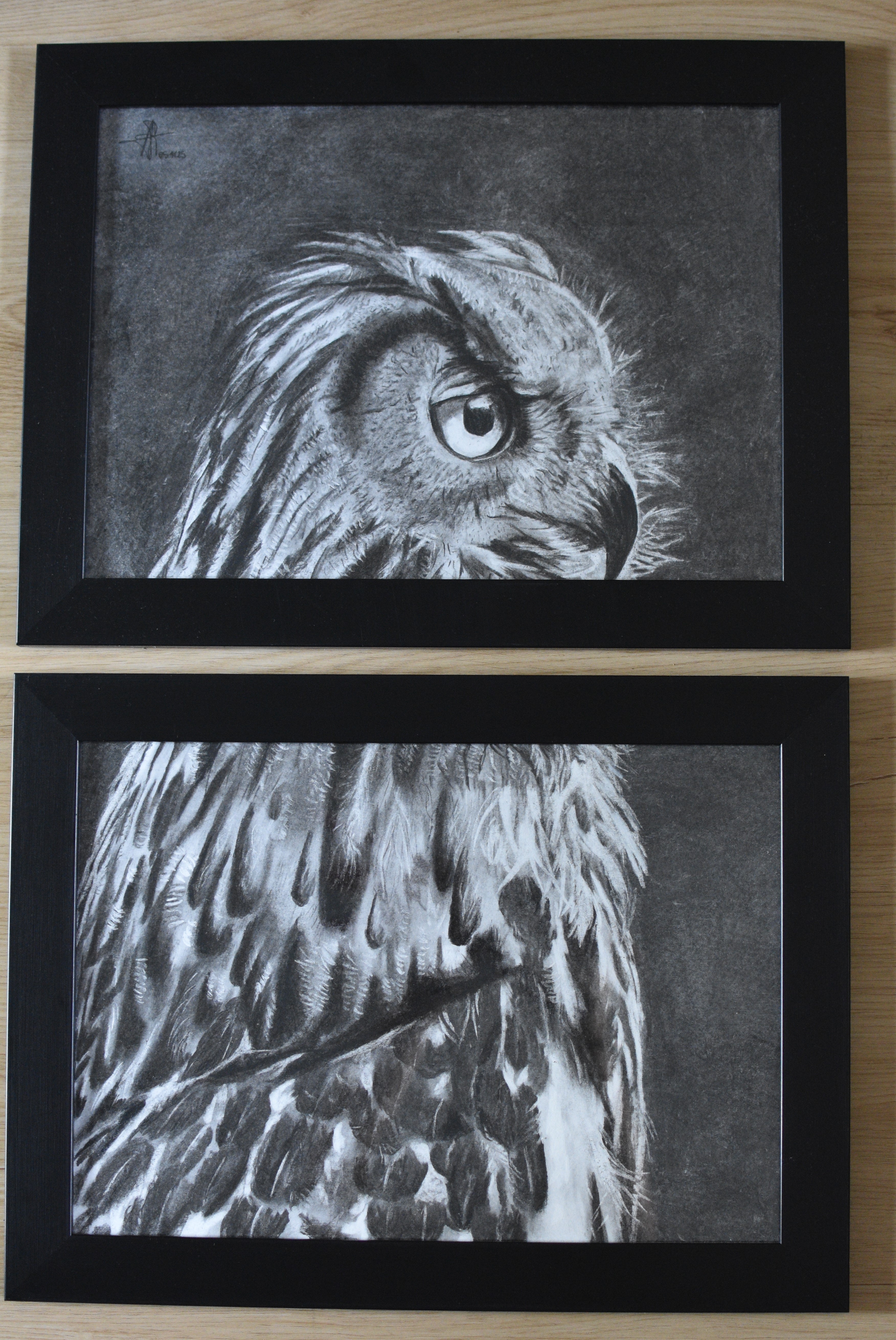 OWL DIPTYCH - SOLD