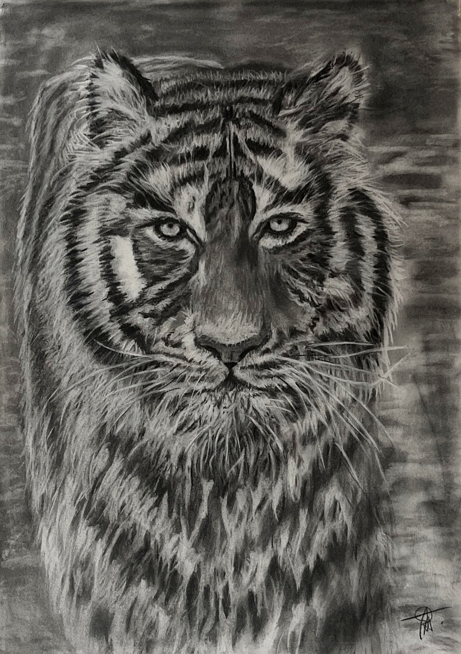 FINE ART PRINT - TIGER