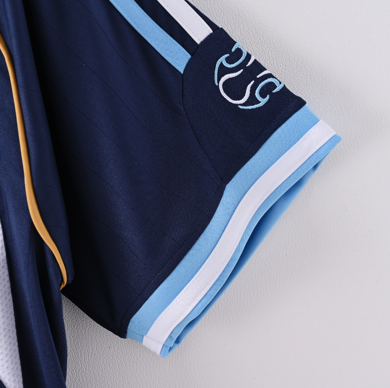 Camiseta oficial de la selección argentina