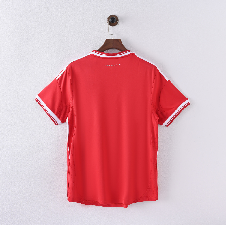 Camiseta oficial del Bayern de Múnich