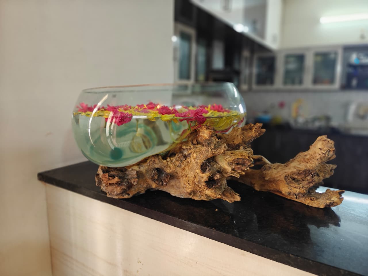 The Tranquil Driftwood Terrarium