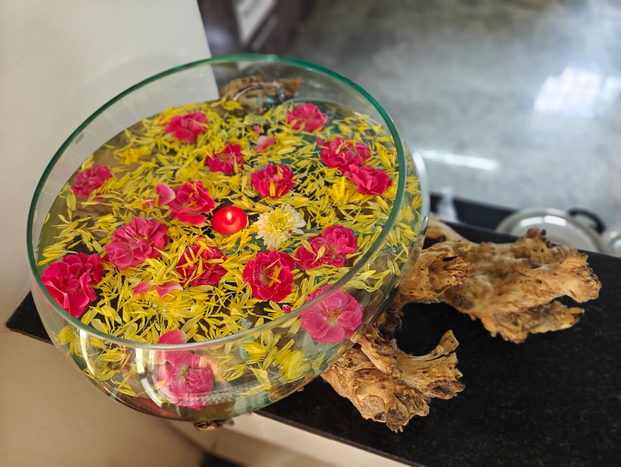 The Tranquil Driftwood Terrarium