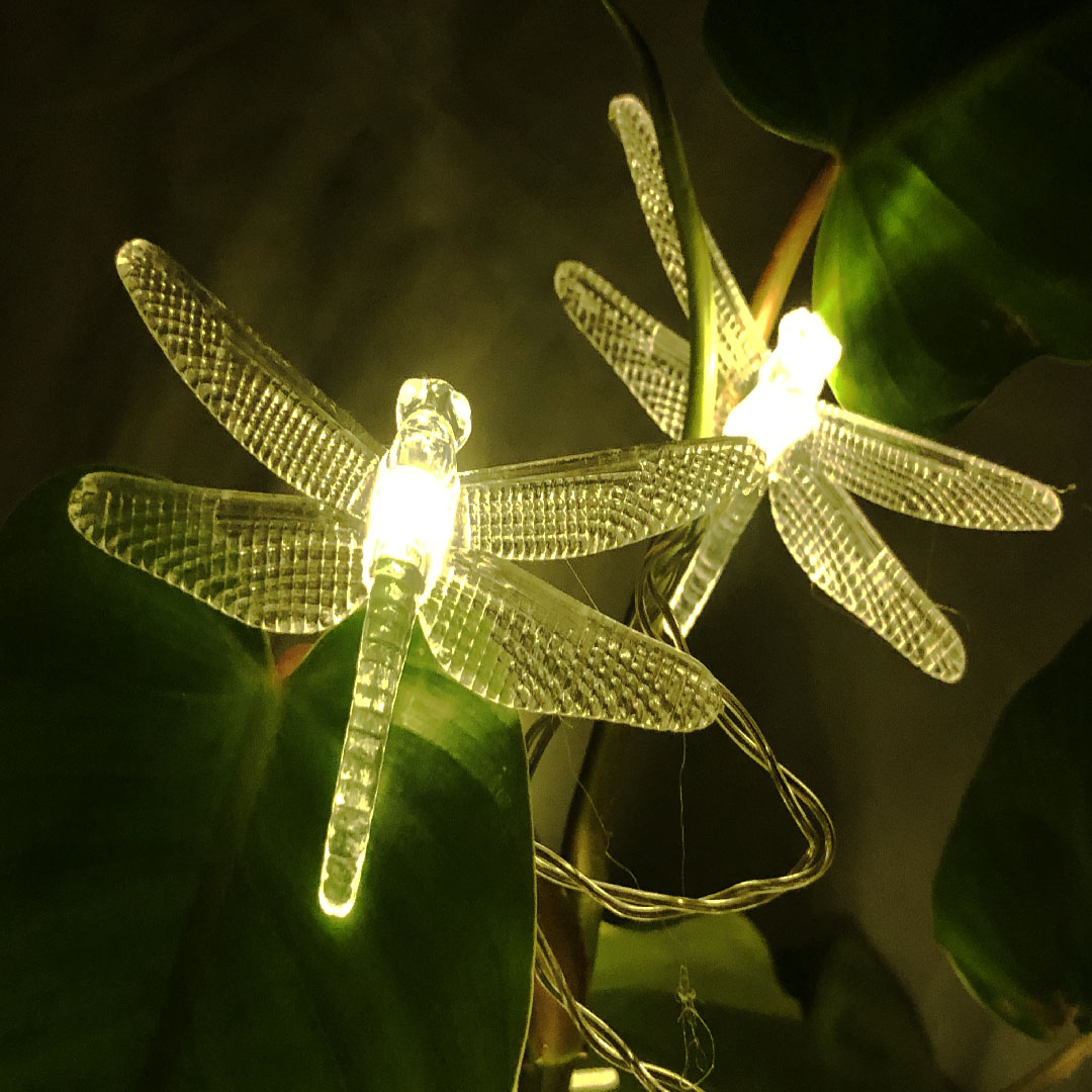 Dragonfly LED String Lights