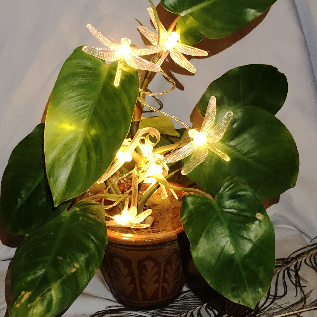 Dragonfly LED String Lights