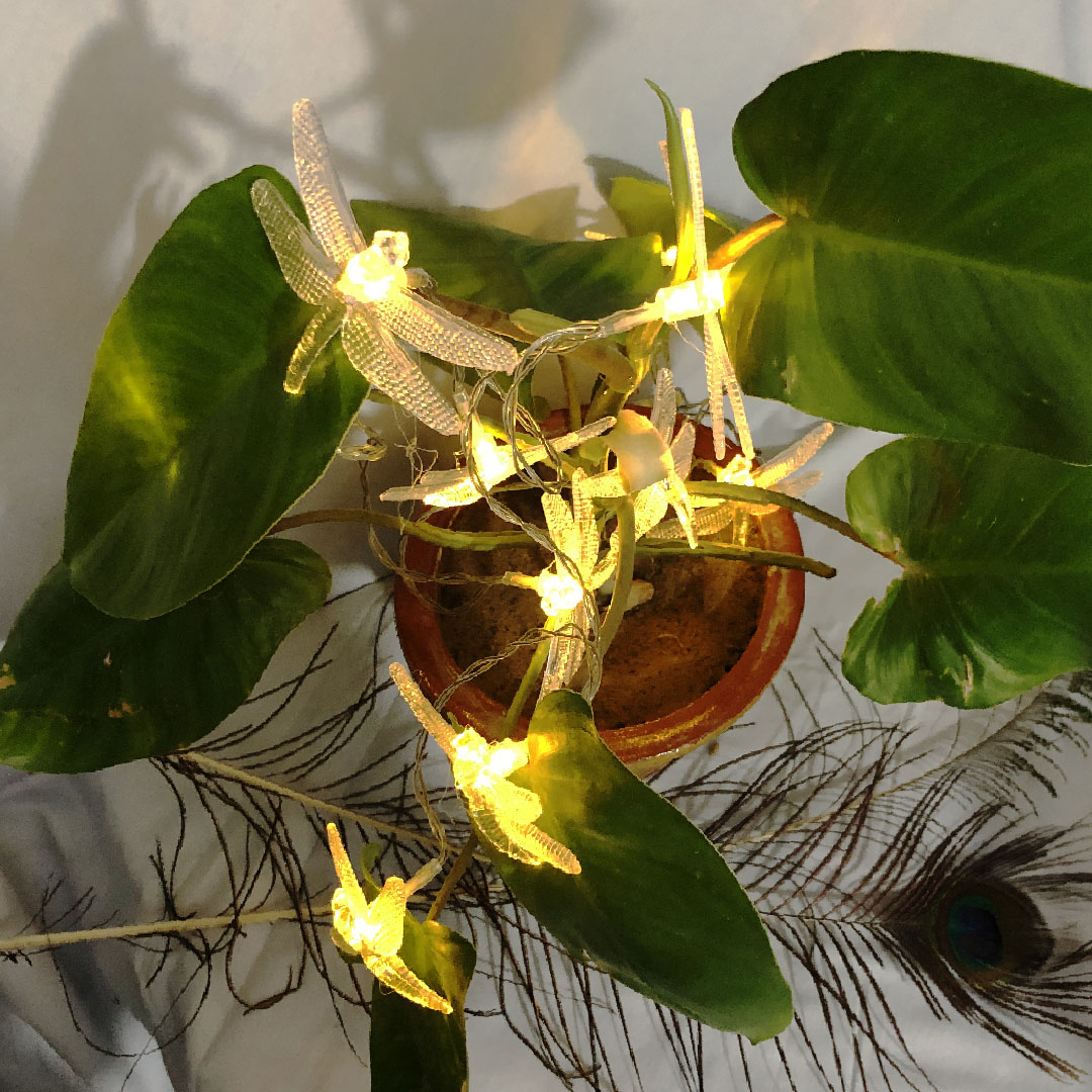 Dragonfly LED String Lights