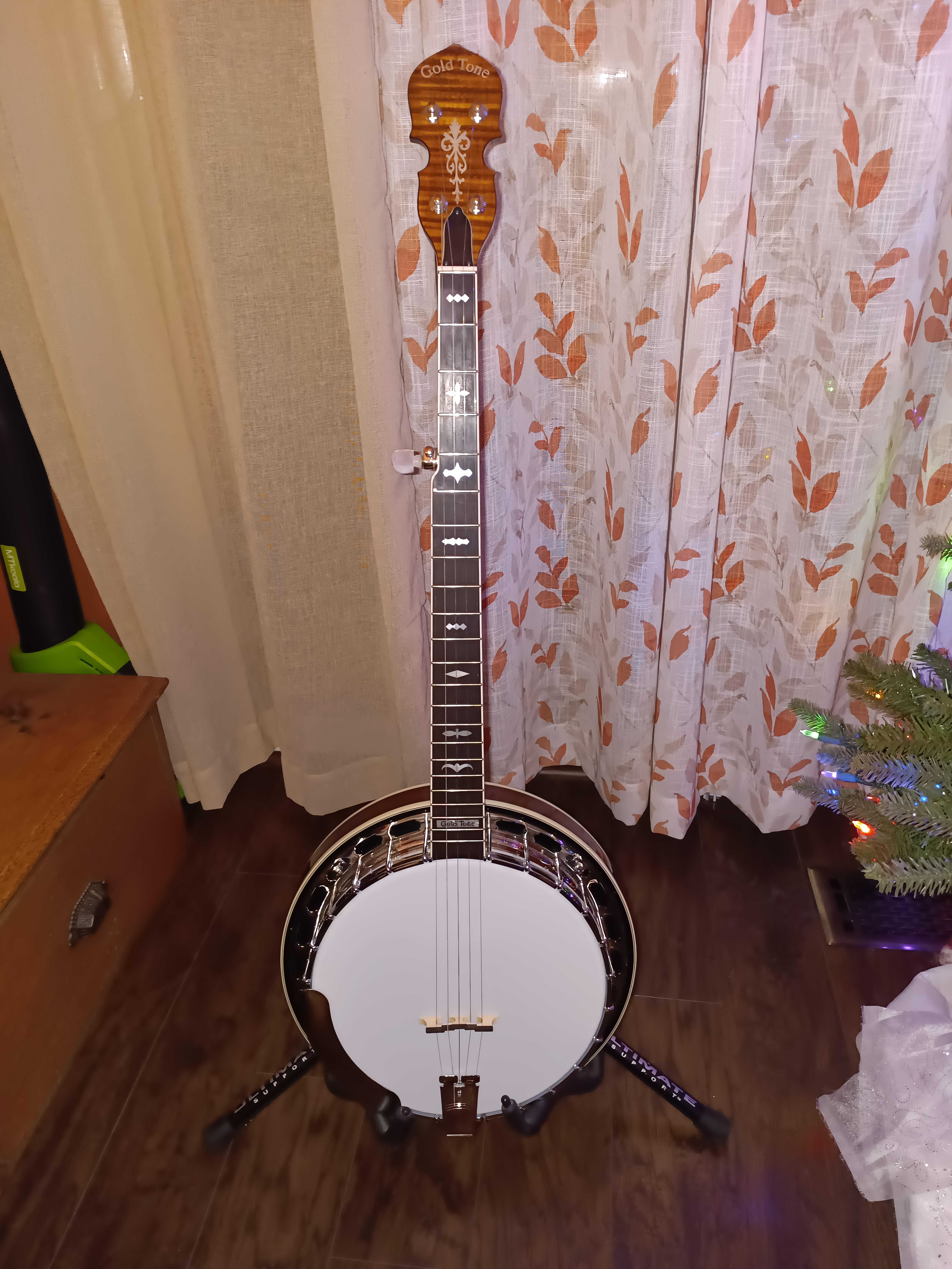 Gold Tone OB-175 Banjo