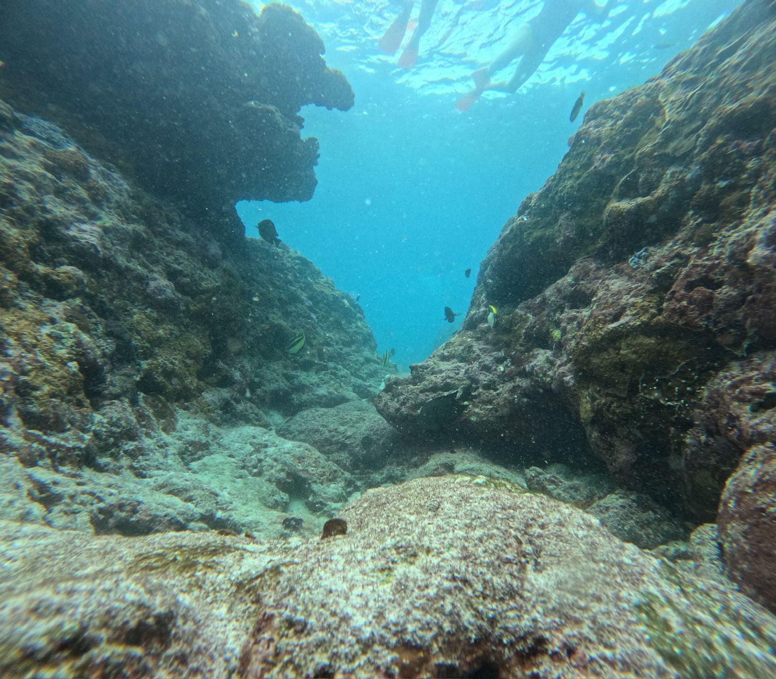 Nusa Penida Tour Packages