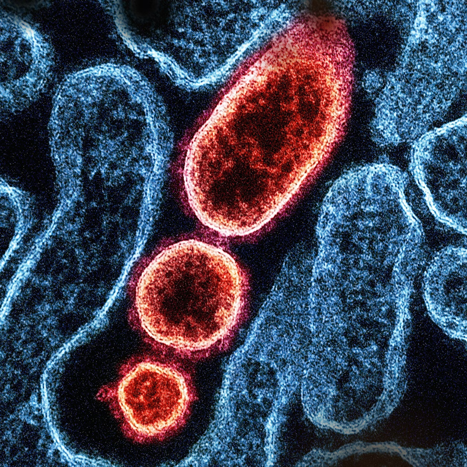 MANUALE PER L'AUTOCONTROLLO DELLE LEGIONELLOSI