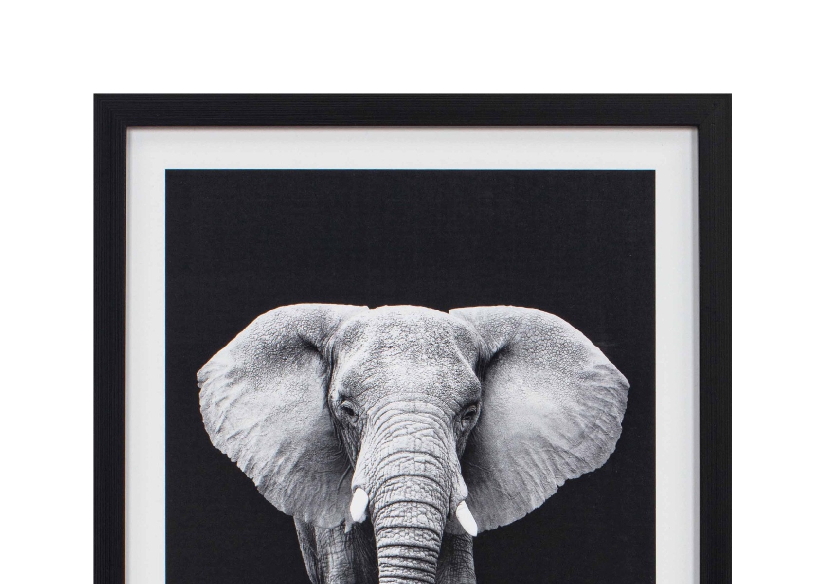 Framed Black and White Elephant Portrait