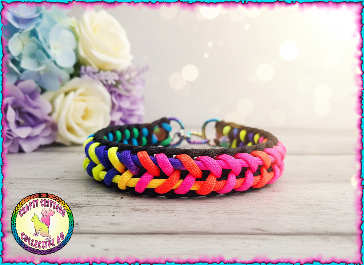 Dual Lined two cords, Rainbow clipped collar
