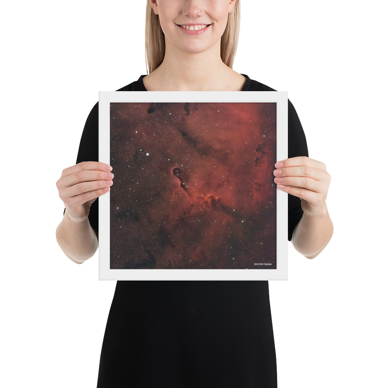 Elephant Trunk Nebula Framed