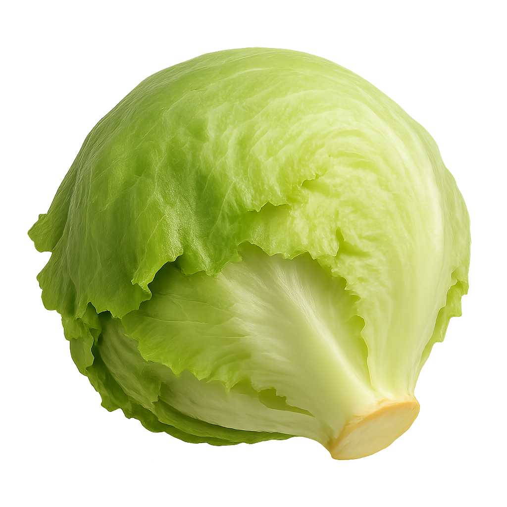 Sałata lodowa 1 szt.