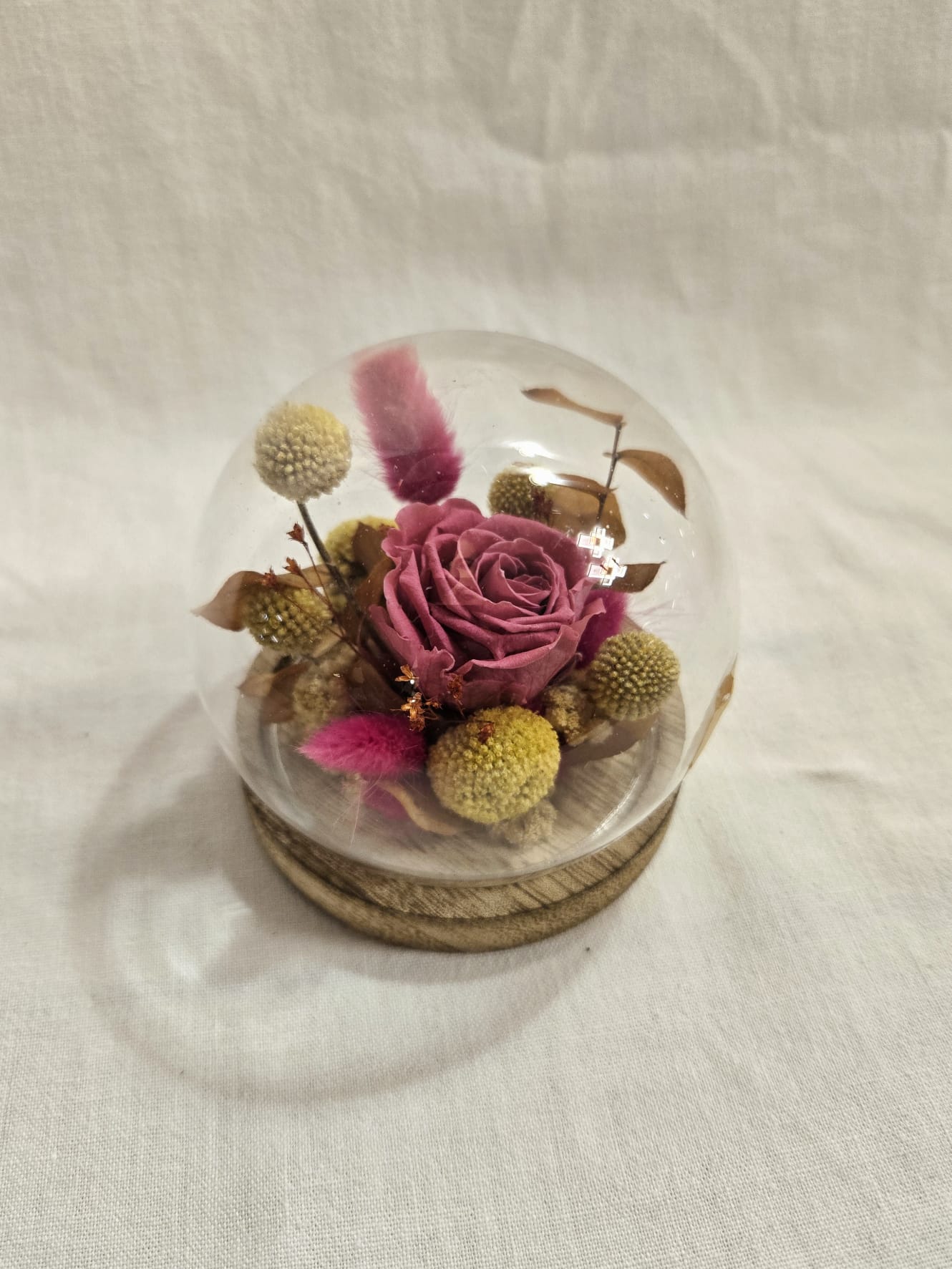 Rose éternelle et fleurs séchées sous cloche en verre
