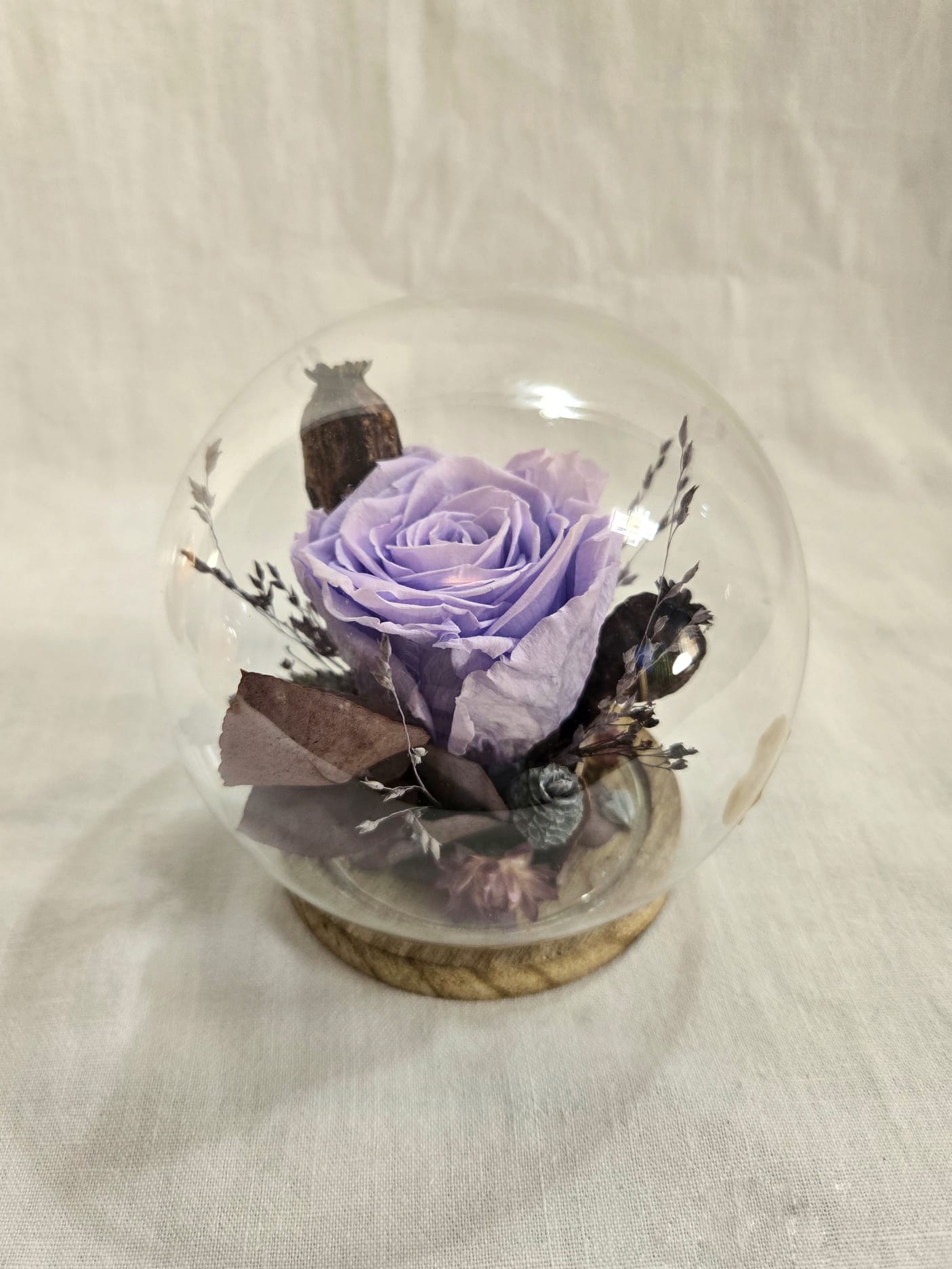 Grande rose éternelle sous cloche en verre