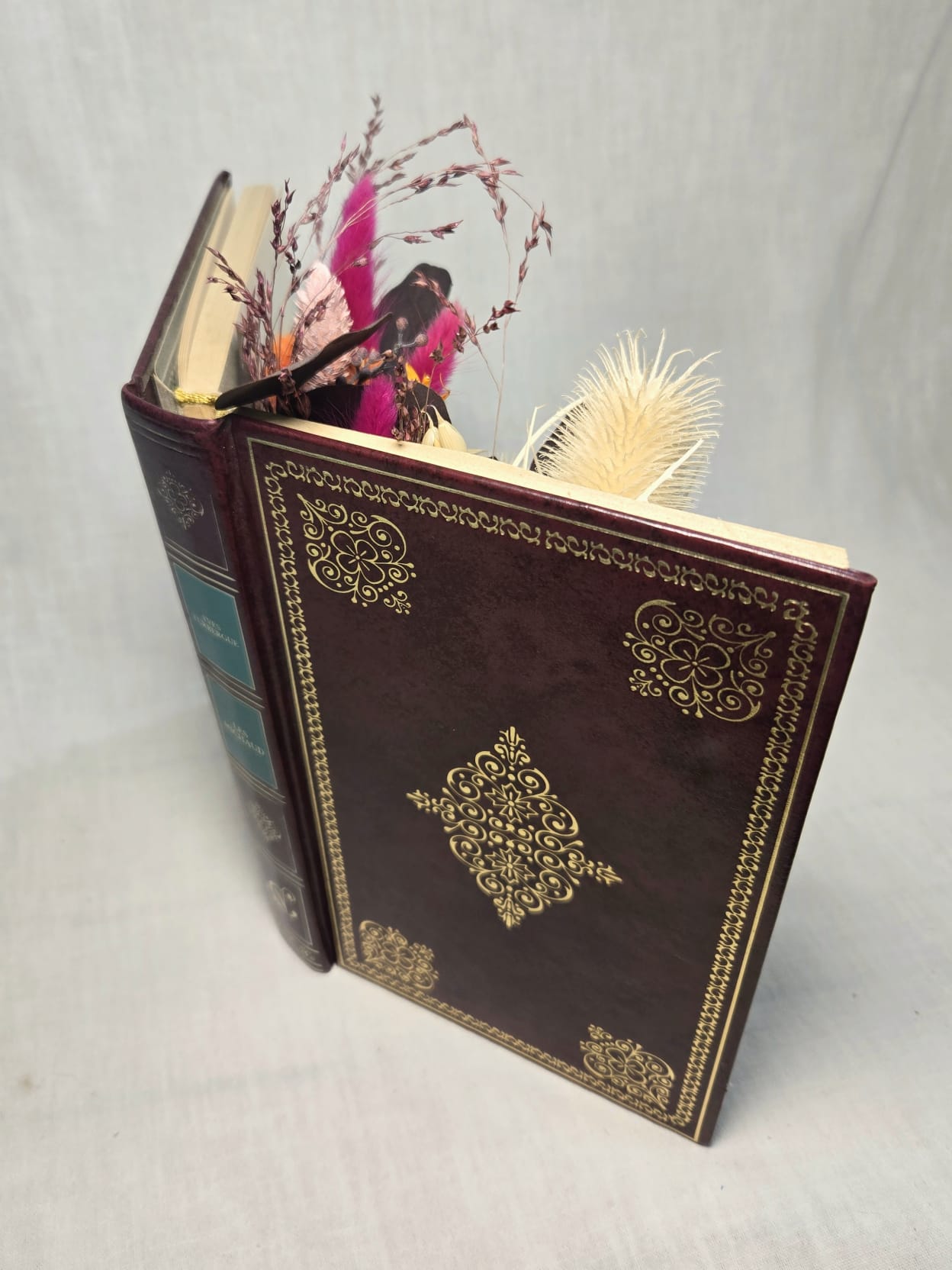 Livre ouvert Pourpre, Fuchshia et Orange