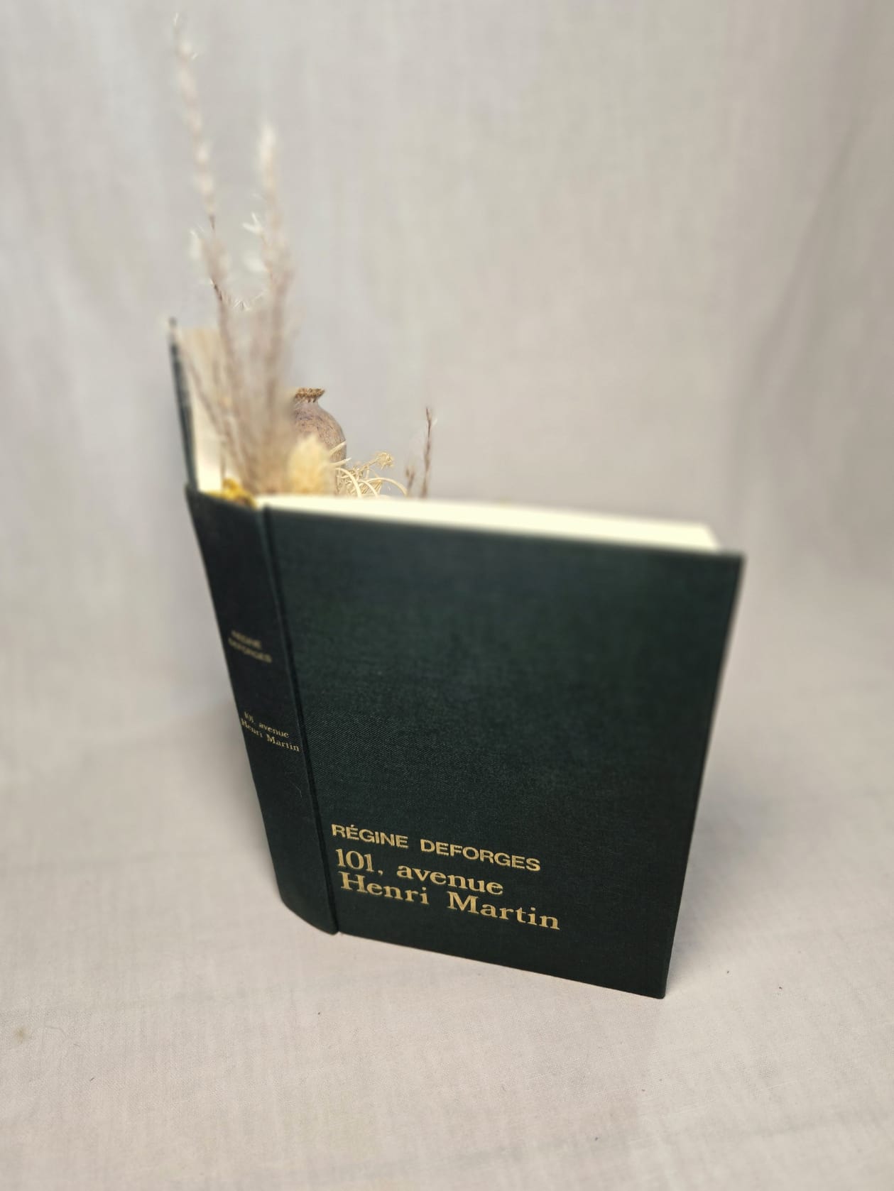 Livre ouvert vert et blanc