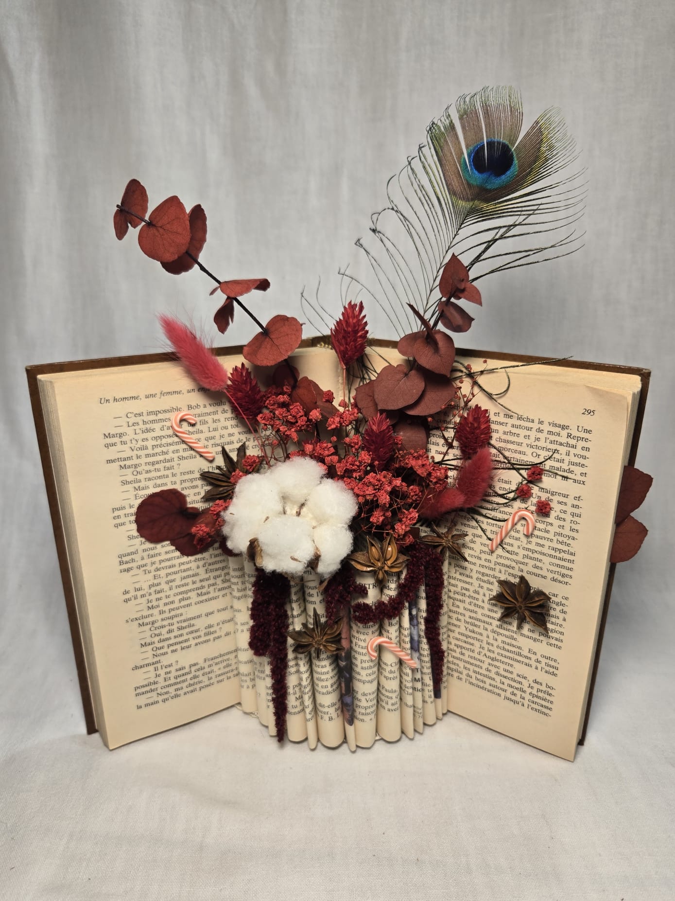 Livre ouvert et sa véritable plume de paon