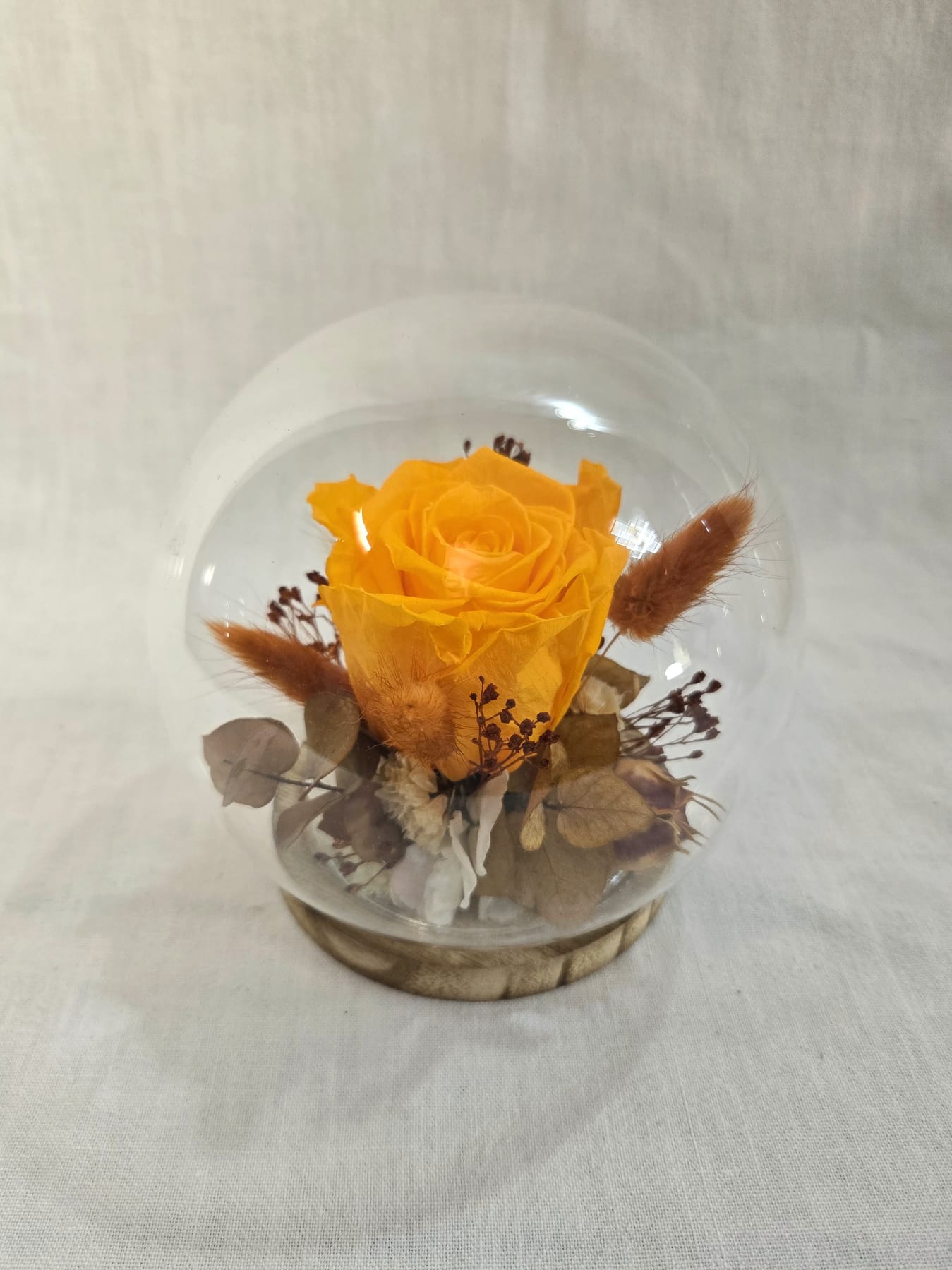 Grande rose éternelle sous cloche en verre